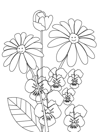 coloriage fleurs des champs